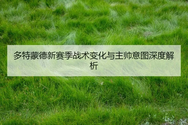 多特蒙德新赛季战术变化与主帅意图深度解析